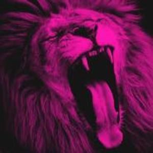 Meet your Posher, Karlos eduardo